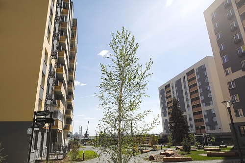 Городская разведка: ЖК “Первая линия” с окнами на лес и реку