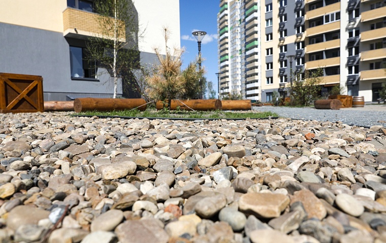 Городская разведка: ЖК “Первая линия” с окнами на лес и реку