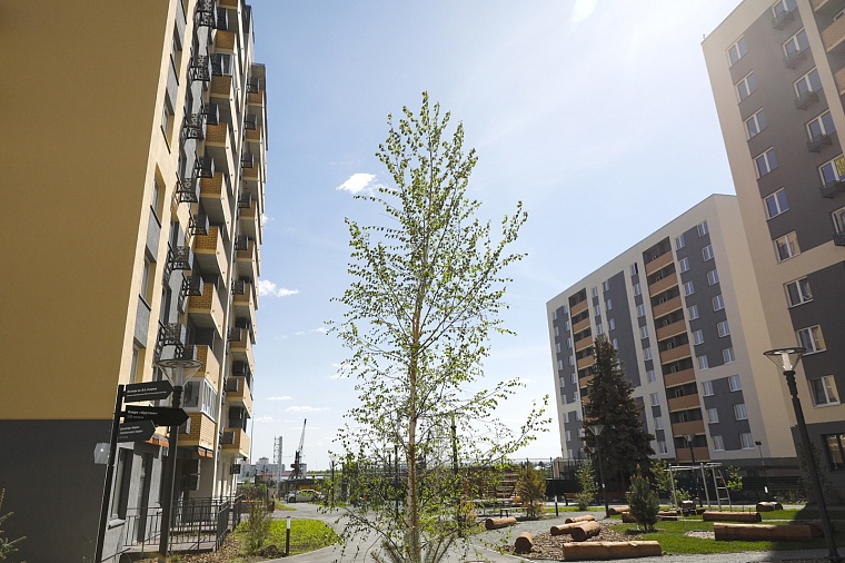 Городская разведка: ЖК “Первая линия” с окнами на лес и реку