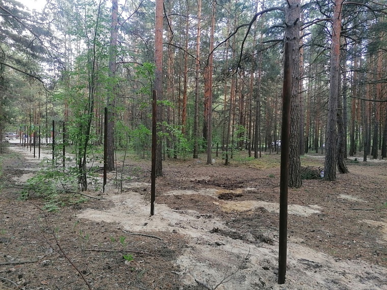 Тюменцы выступают против застройки исторических мест на озере Андреевском