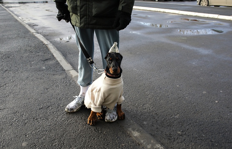 Городская разведка: ЖК “Заречный”, где спят по ночам