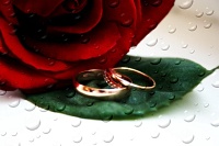 Выйти замуж – не напасть: простые шаги к регистрации брака