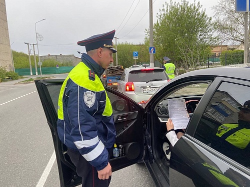 В Тюменской области пройдет сплошная проверка на трезвость