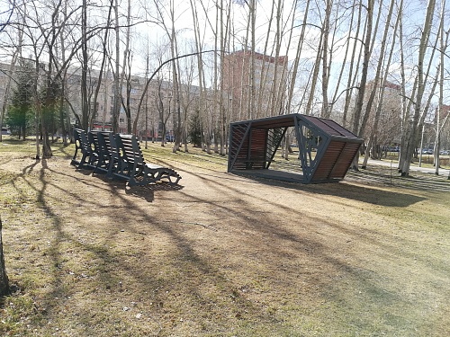 Более 650 тюменцев пострадали от клещей, заболевших нет