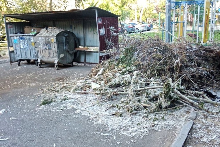 Утилизация тополиного пуха в мусорные баки грозит возгораниями