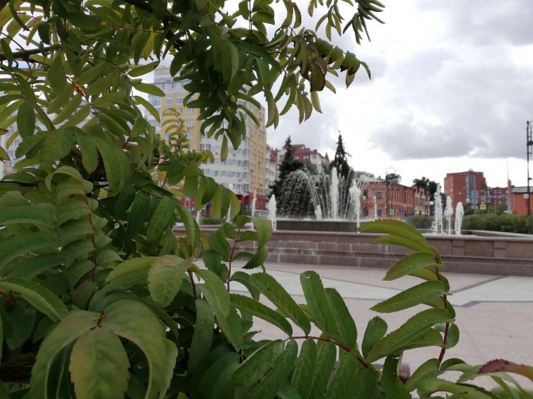 В Тюмени 22 сентября резко похолодает и пойдет дождь