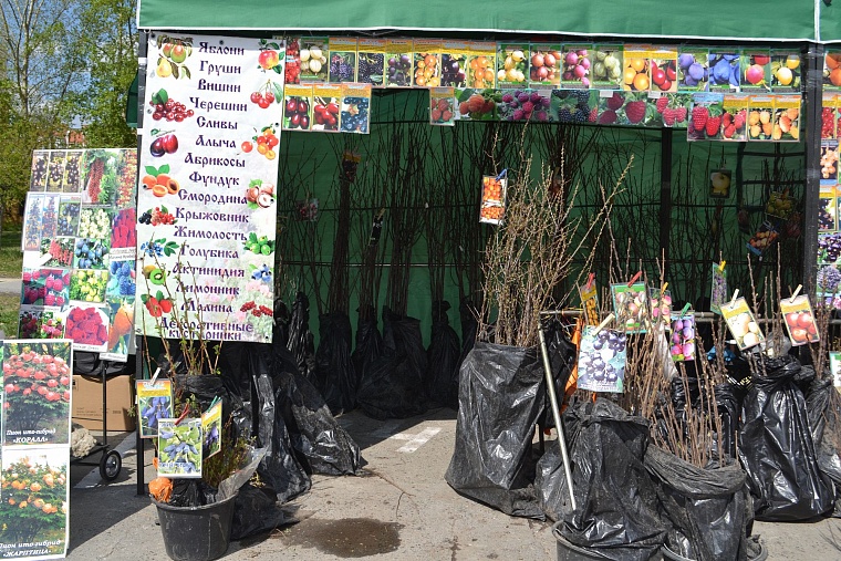 Построить дом и разбить сад поможет выставка в Тюмени