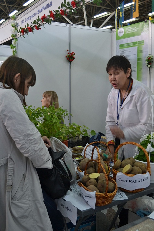 Построить дом и разбить сад поможет выставка в Тюмени