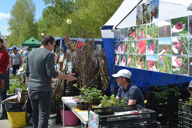 Построить дом и разбить сад поможет выставка в Тюмени