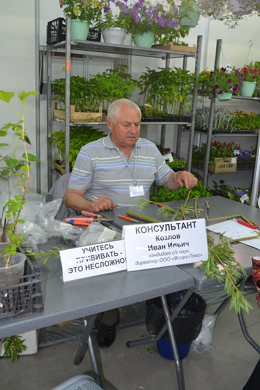 Построить дом и разбить сад поможет выставка в Тюмени