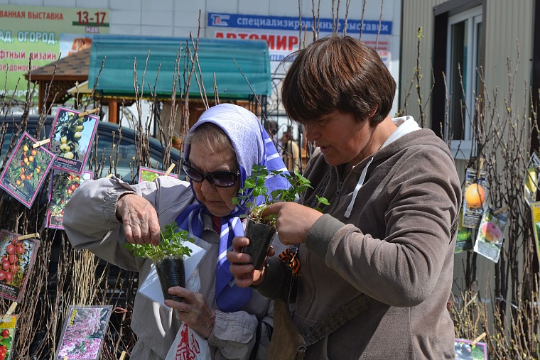 Построить дом и разбить сад поможет выставка в Тюмени