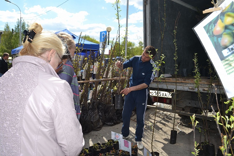 Построить дом и разбить сад поможет выставка в Тюмени