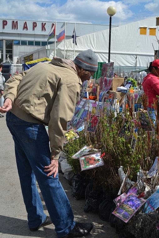 Построить дом и разбить сад поможет выставка в Тюмени