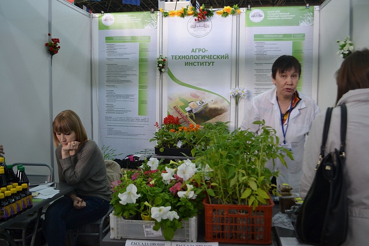 Построить дом и разбить сад поможет выставка в Тюмени