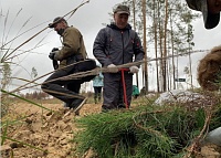 Губернатор Александр Моор принял участие во всероссийской акции "Сохраним лес"