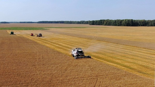 Тюменская область экспортирует на внешние рынки около 50 видов сельхозпродукции
