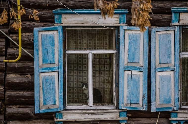 Выходные в соцсетях: тыква, ведьма, Хеллоуин, а также «Тюменская марка» и победа «Рубина»