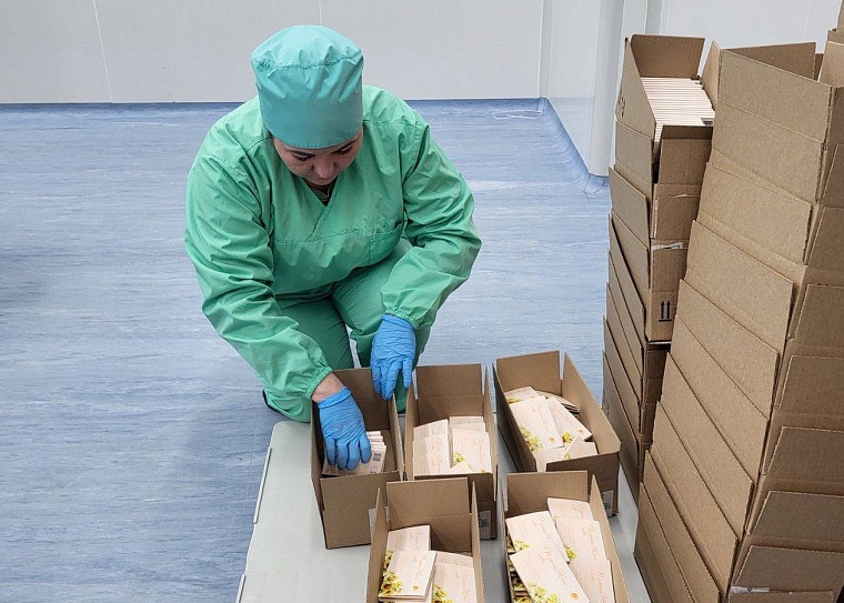 «Фармасинтез-Тюмень» за год увеличил производство гормональных препаратов более чем в шесть раз