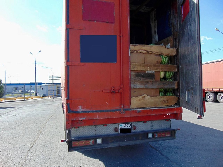 Тюменские таможенники не пропустили через границу 252 тонны арбузов и дынь