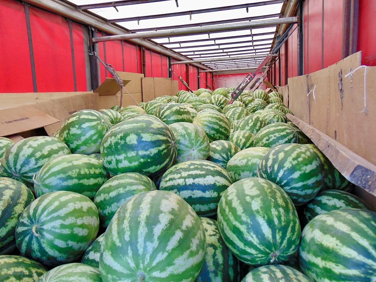 Тюменские таможенники не пропустили через границу 252 тонны арбузов и дынь