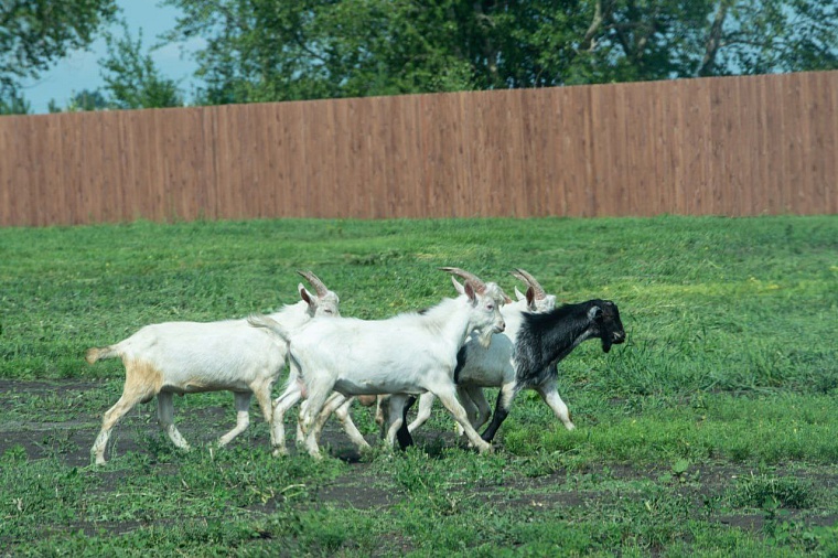 Александр Моор: Создаются новые рабочие места, растет туристический потенциал