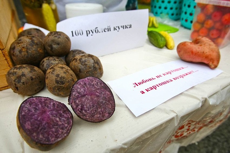 Как жители области празднуют «Тюменскую осень»