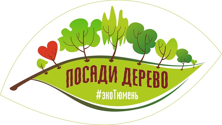 Тюменцам предлагают сделать зелеными свои дворы