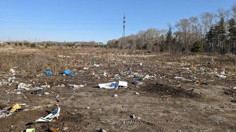 В Тюменской области уберут семь лесных свалок по решению суда