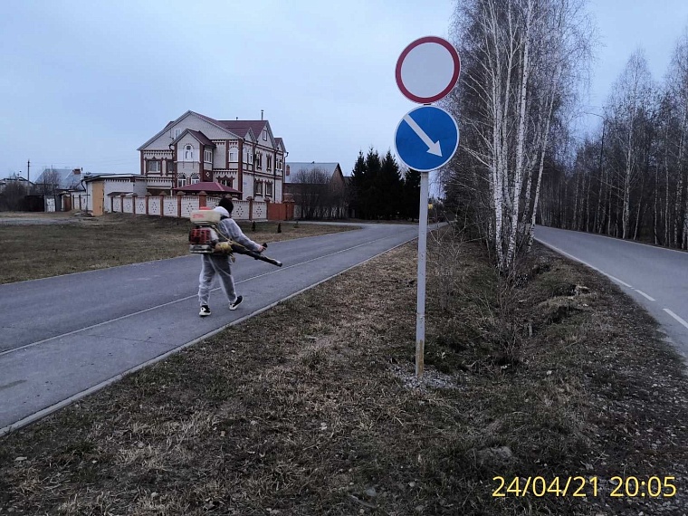 В Восточном округе Тюмени обработали от клещей все парки, скверы и улицы