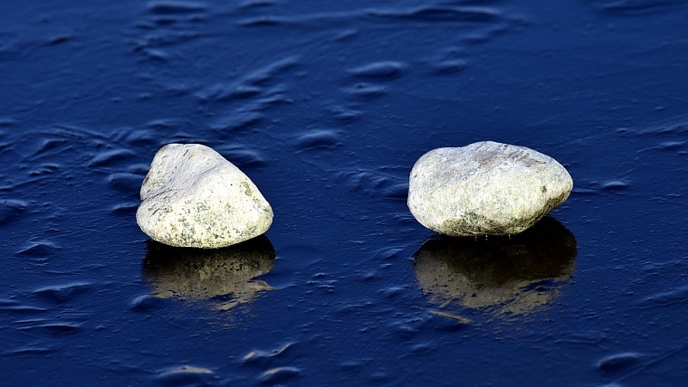 Фото: pixabay.com