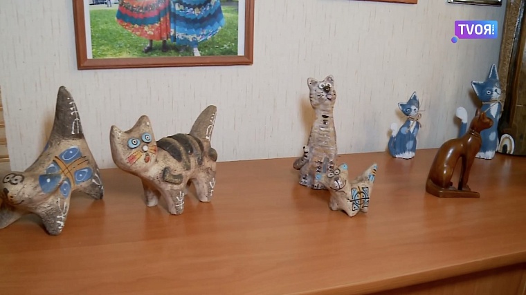 У тюменской пенсионерки живет кот, который любит плавать