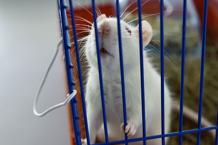 Владимир Якушев оценил преобразования в физико-математической школе за последний год