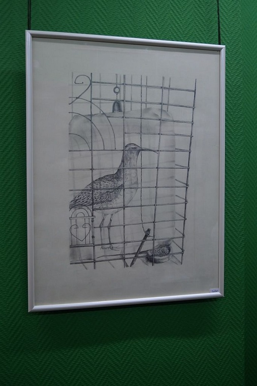 Птицы, звери и родственники Анастасии Хариной