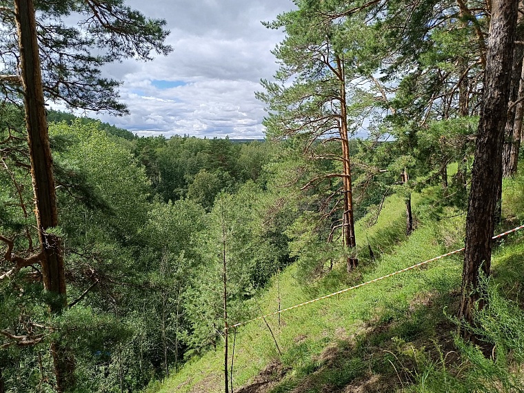Зеленая горка: где находится самое красивое место в окрестностях Тюмени
