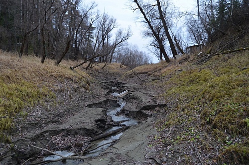 Ордена на груди Тобольска: река, которой нет