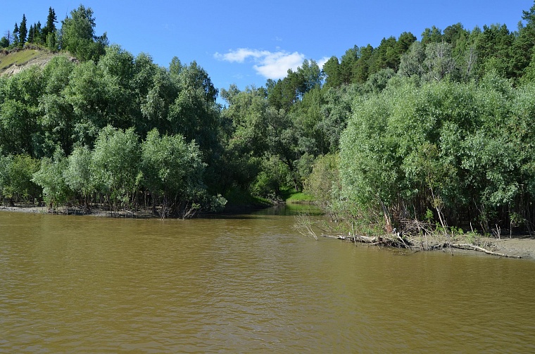 Ордена на груди Тобольска: река, которой нет