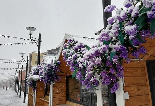 В Тюменской области ожидают похолодание, мокрый снег и сильный ветер