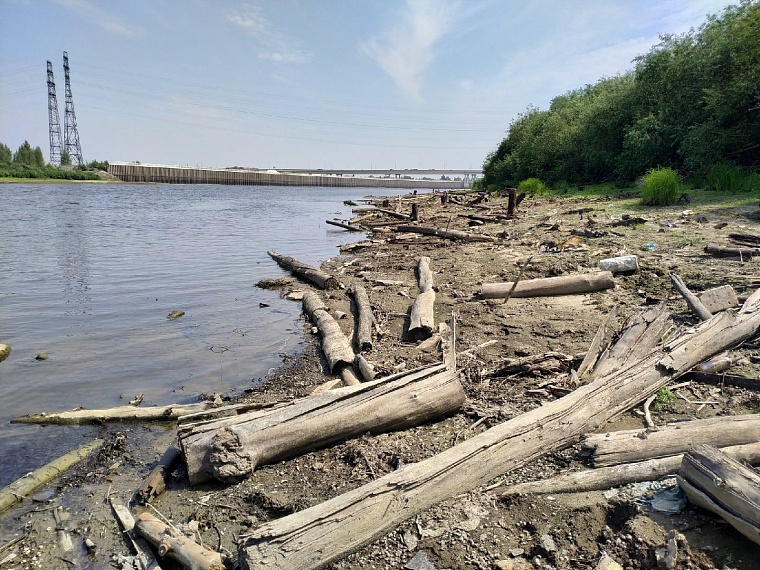 Как идут поиски Насти Муравьевой на Лесобазе. Онлайн-репортаж