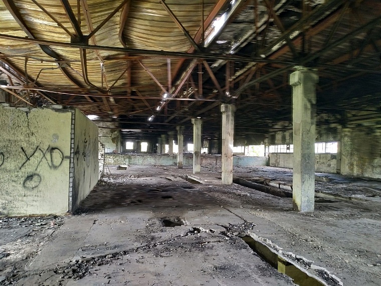 Как идут поиски Насти Муравьевой на Лесобазе. Онлайн-репортаж