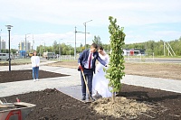 В Тобольске посадили деревья в сквере «Семьи, Любви и Верности»