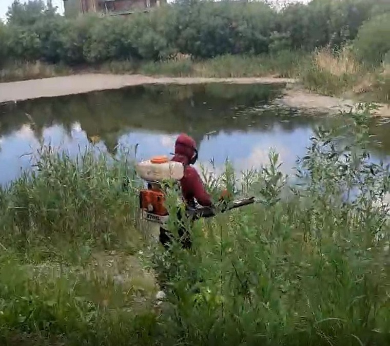 Против комаров: на водоемах Тюмени провели ларвицидную обработку