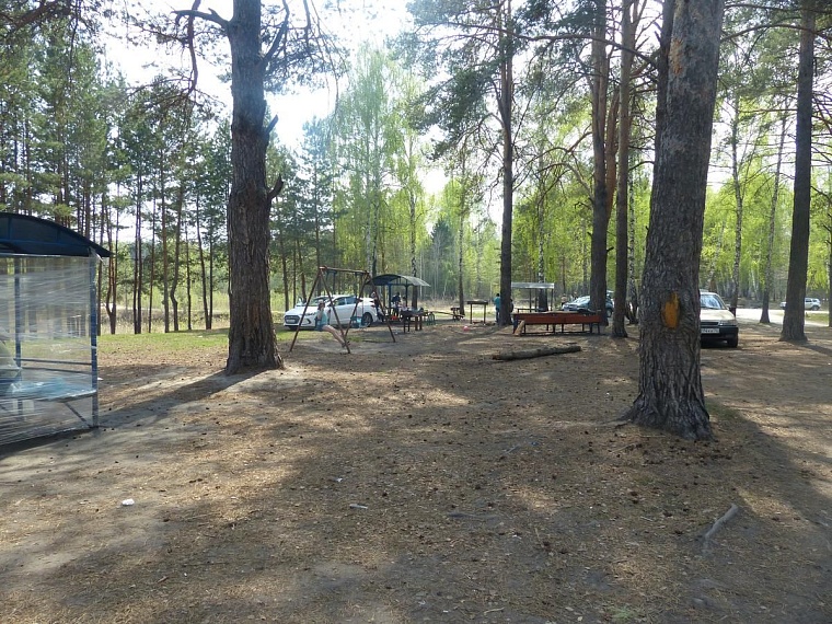 Где пожарить шашлыки: рейтинг самых популярных мангальных зон в Тюмени