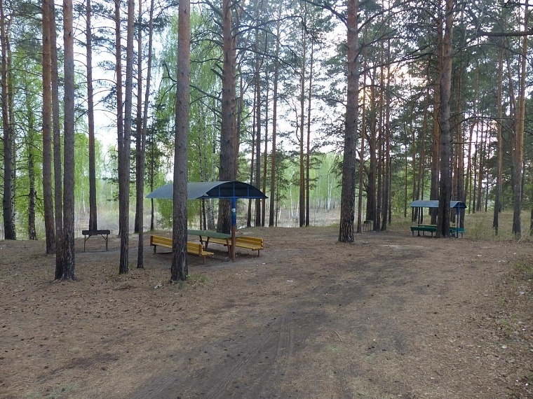 Где пожарить шашлыки: рейтинг самых популярных мангальных зон в Тюмени