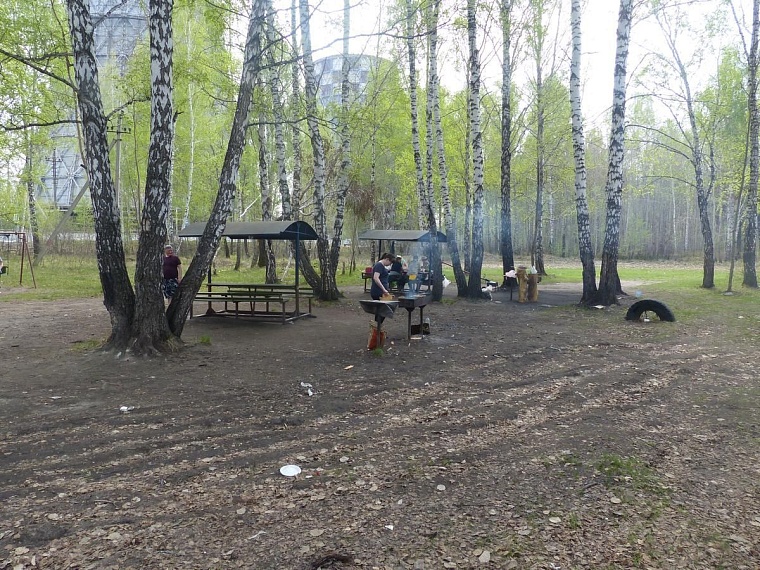 Где пожарить шашлыки: рейтинг самых популярных мангальных зон в Тюмени