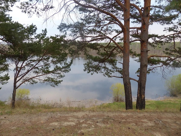 Где пожарить шашлыки: рейтинг самых популярных мангальных зон в Тюмени