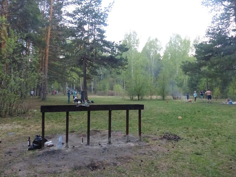 Где пожарить шашлыки: рейтинг самых популярных мангальных зон в Тюмени