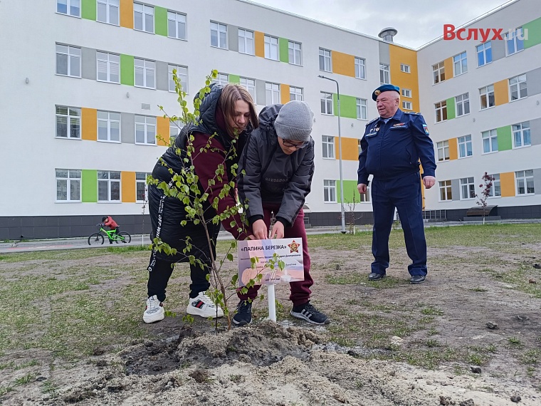 У тюменской школы посадили первые "Папины берёзки"