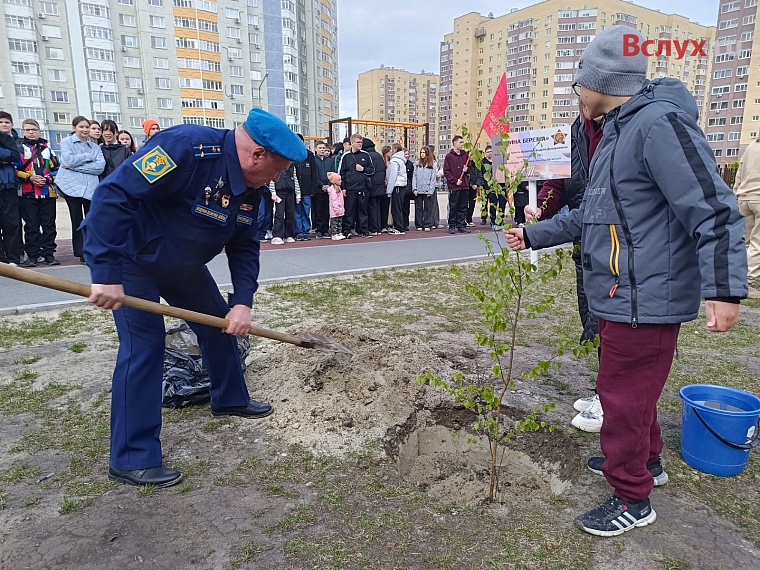 У тюменской школы посадили первые "Папины берёзки"