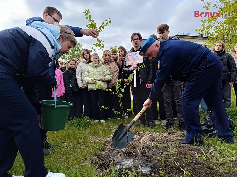 У тюменской школы посадили первые "Папины берёзки"