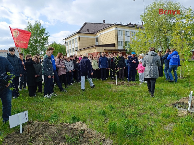 У тюменской школы посадили первые "Папины берёзки"